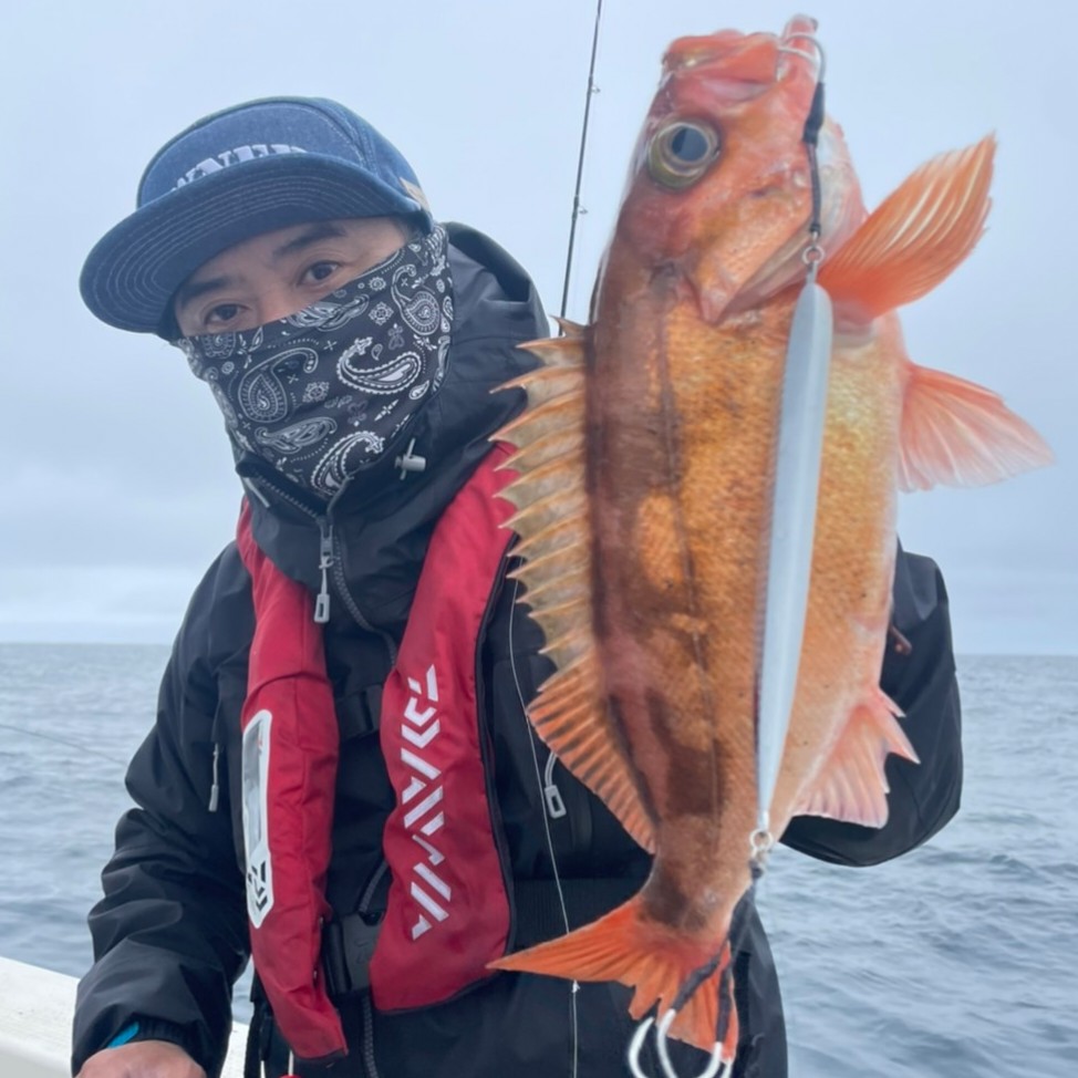 日本海 アラジギング フィッシングマックス 関西の釣果 大阪 神戸 和歌山の釣果情報