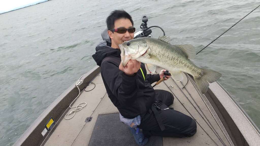 琵琶湖 マザーレイクの主流はフリーリグ フィッシングマックス 関西の釣果 大阪 神戸 和歌山の釣果情報