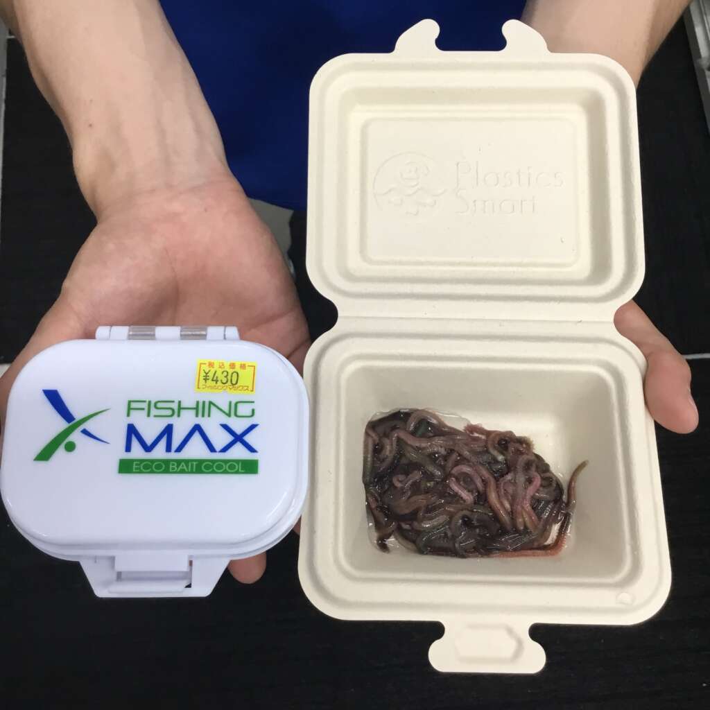 Ecoベイトクールの虫エサセットがお買い得となっております フィッシングマックス 関西の釣果 大阪 神戸 和歌山の釣果情報