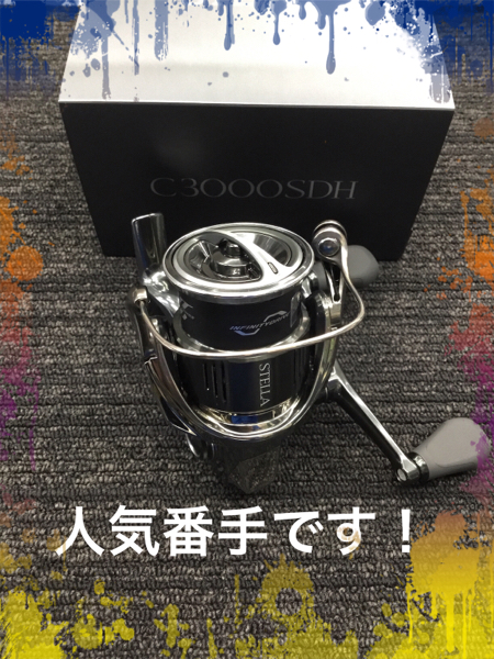 【極美品】22ステラ C3000SDH