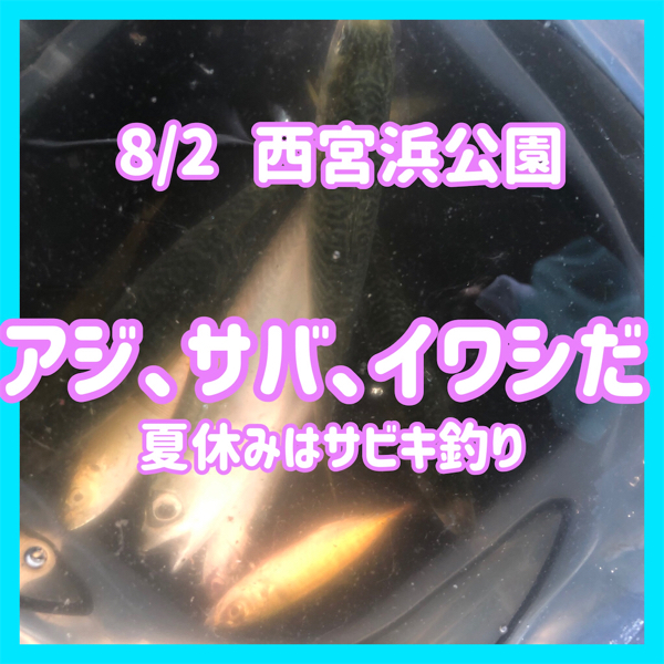 8 2超リアル西宮浜公園 夏休みはサビキ釣り フィッシングマックス 関西の釣果 大阪 神戸 和歌山の釣果情報