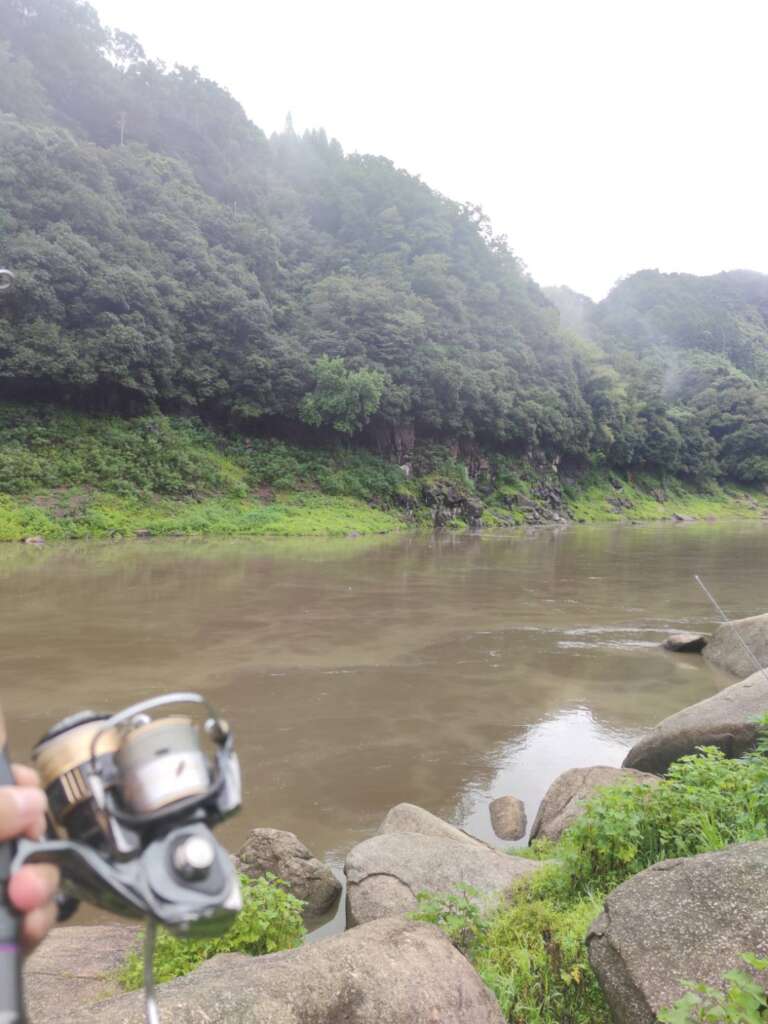 高山ダムでバスフィッシング フィッシングマックス 関西の釣果 大阪 神戸 和歌山の釣果情報