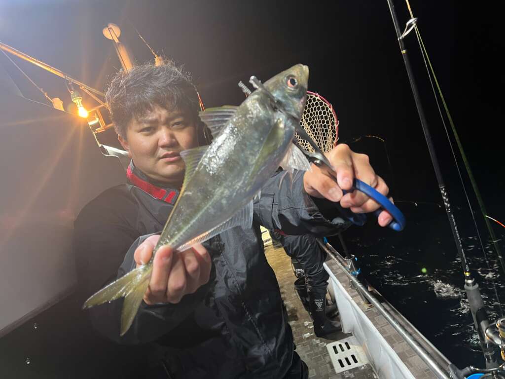 大阪府で釣れたオイカワの釣り・釣果情報 - アングラーズ